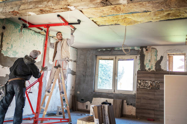 Best Insulation Replacement Services  in USA